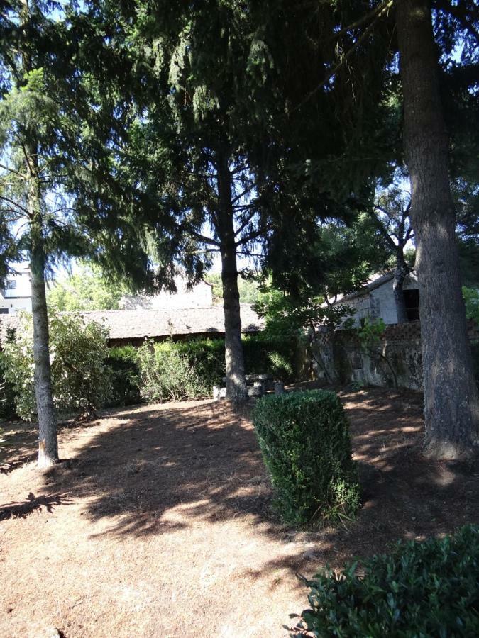 Museu Casa Aleixo Guest House Sernancelhe Exterior photo