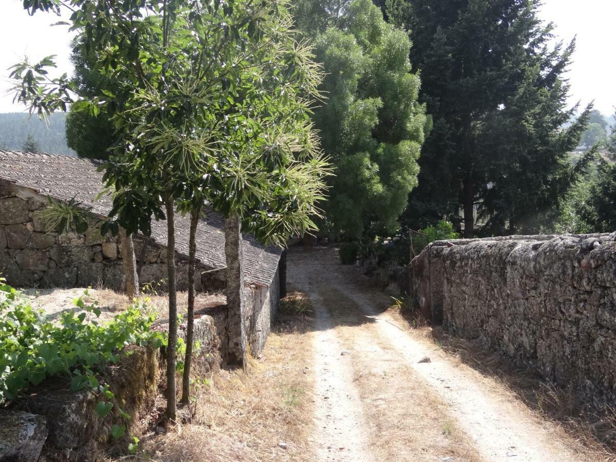 Museu Casa Aleixo Guest House Sernancelhe Exterior photo