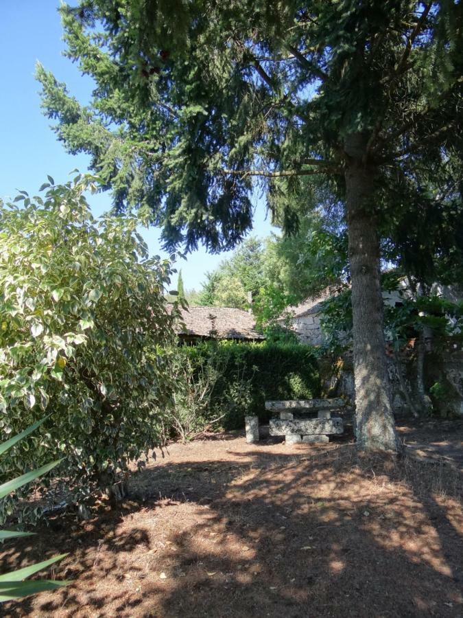 Museu Casa Aleixo Guest House Sernancelhe Exterior photo